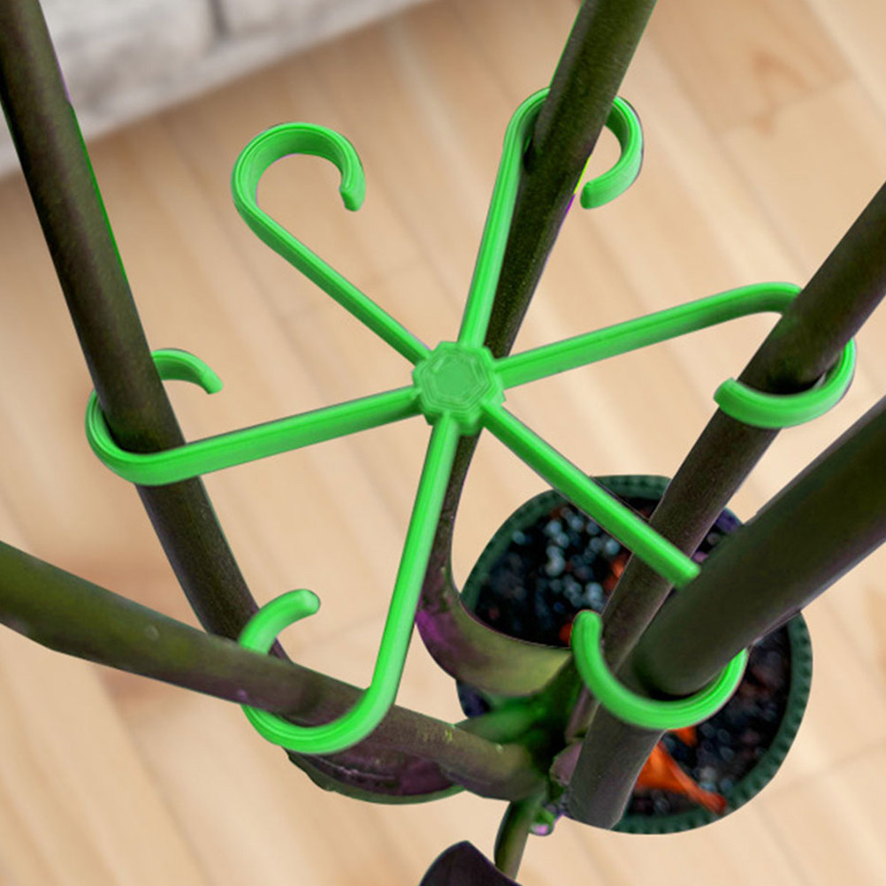 12 Pezzi Supporti per Steli di - Vine Climbing Plastic recensione e prezzo