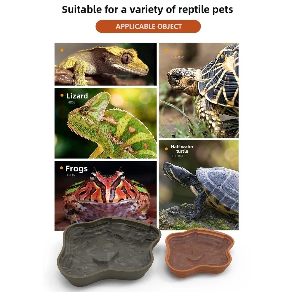 Nuovo bacino per acqua in plas - Water Dish Reptile recensione e prezzo