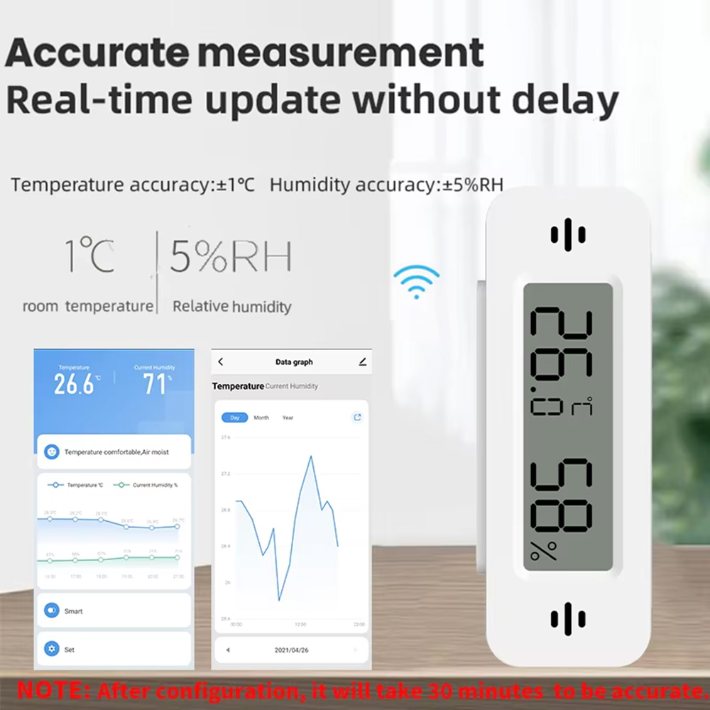 Sensore Mini di Temperatura e  - Digital Hygrometer Probe recensione e prezzo