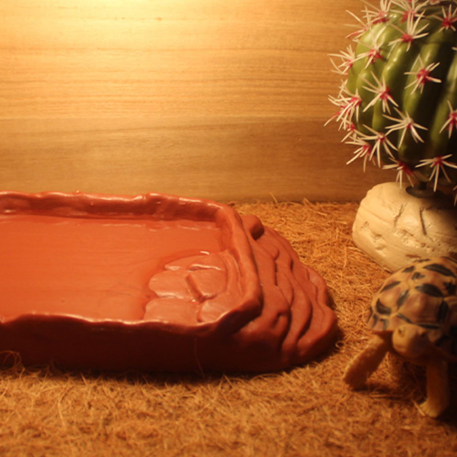 Vasca per Tartarughe, Ciotola  - Water Dish Reptile recensione e prezzo