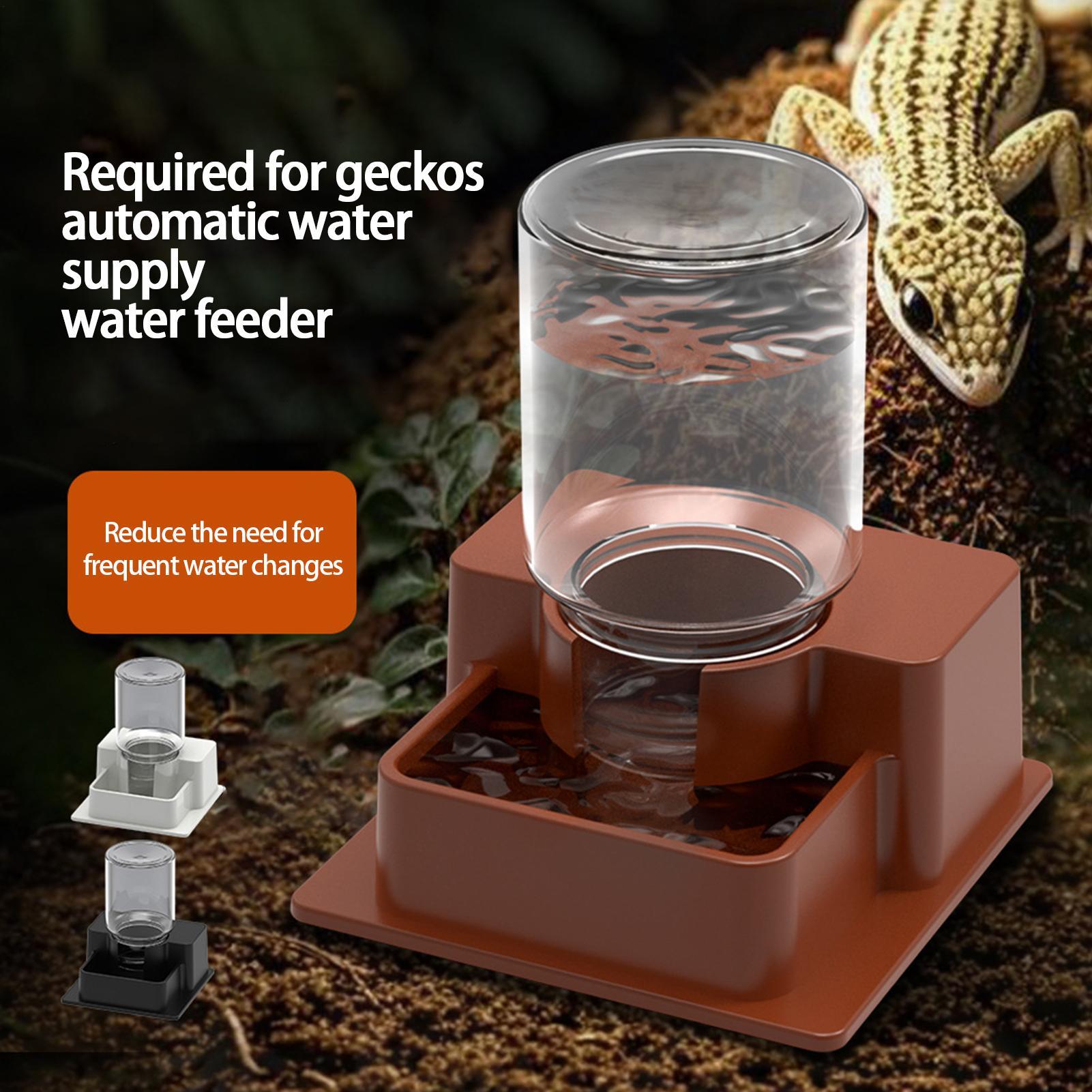 Dispenser Automatico per Retti - Water Dish Reptile recensione e prezzo