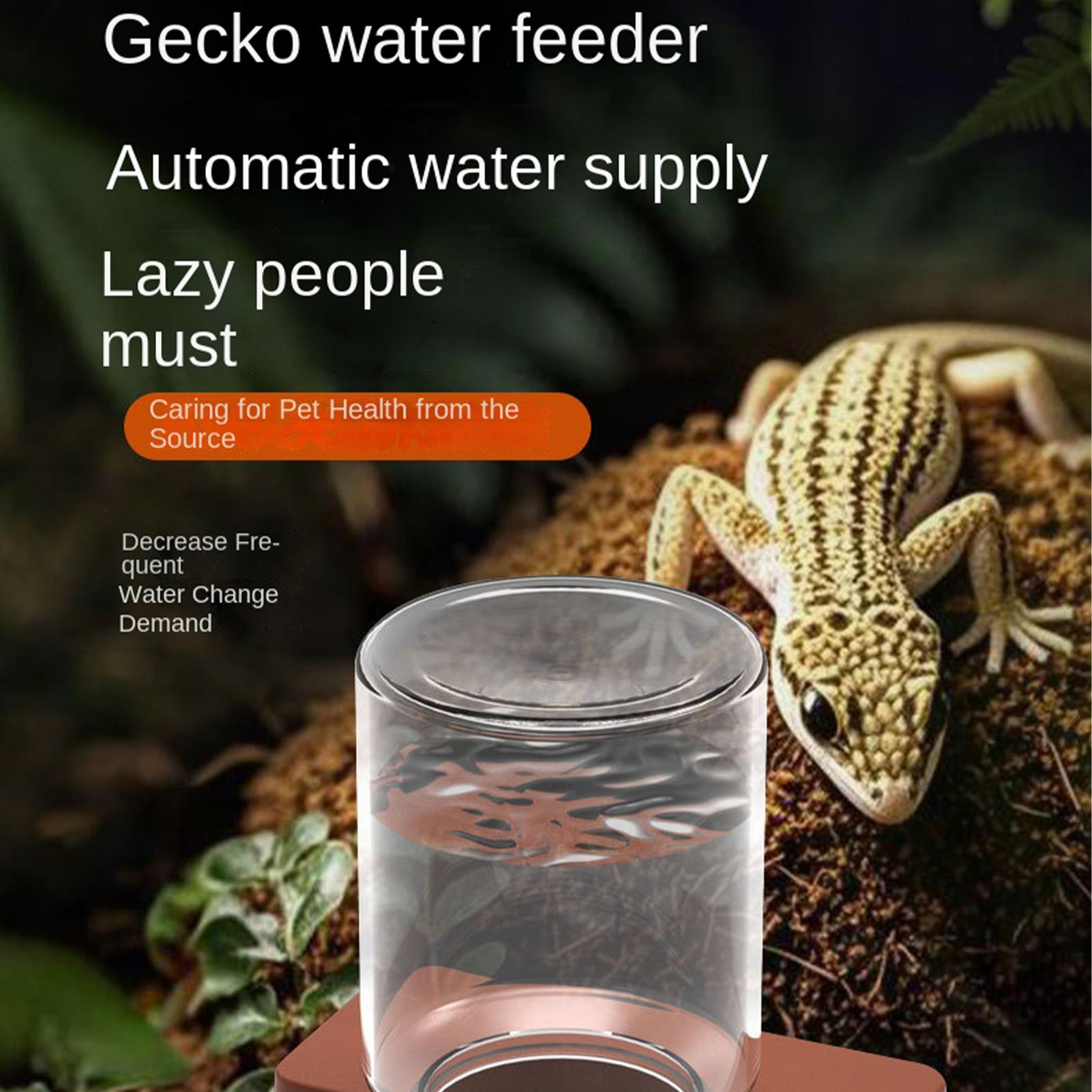 Dispenser Automatico per Retti - Water Dish Reptile recensione e prezzo