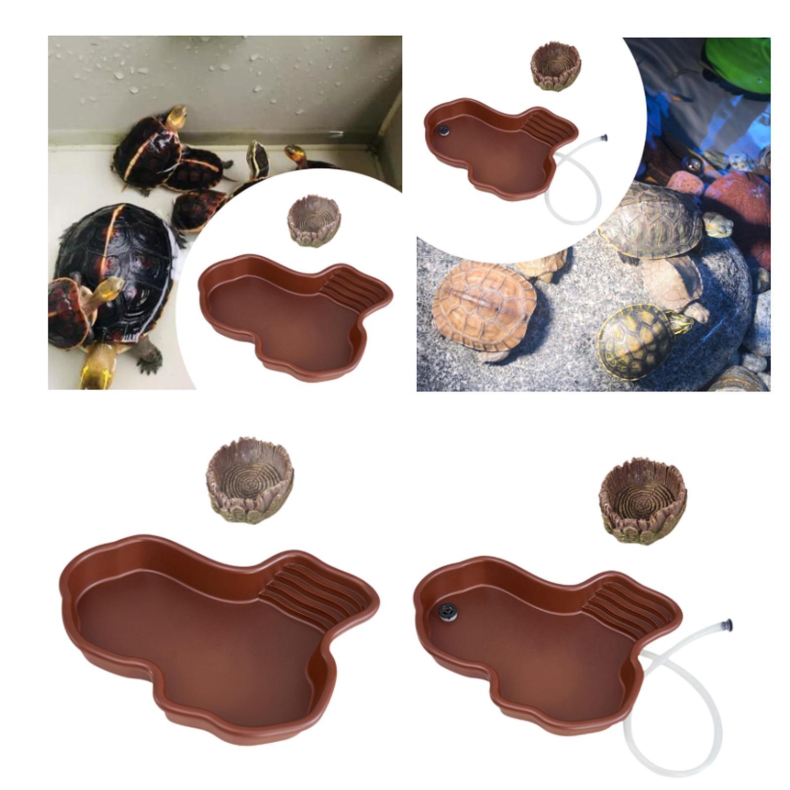 Piatto per alimentazione per r - Water Dish Reptile recensione e prezzo